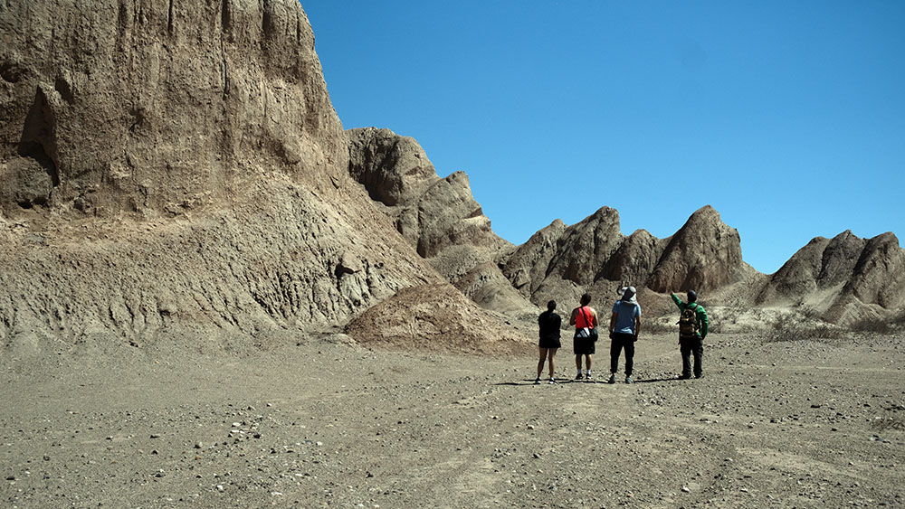 Imagen de galería 1